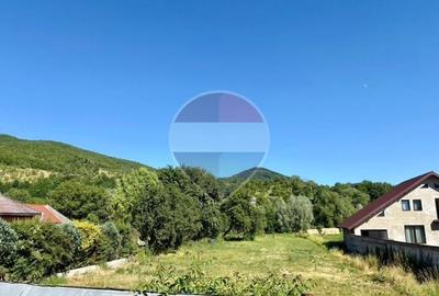 Teren Construcții intravilan de 3154 mp, în Bârsana