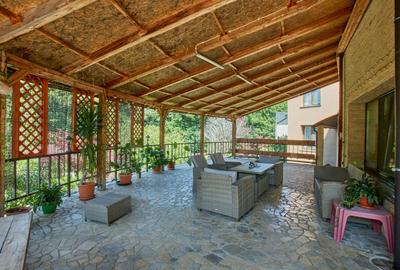 Reprezentare exclusivă · Casa dintre magnolii, Făget · 1.343 mp lângă pădure - 23