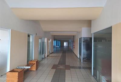 Hala pentru activitati industriale sau comerciale in Zona Industriala Arad Est - 4