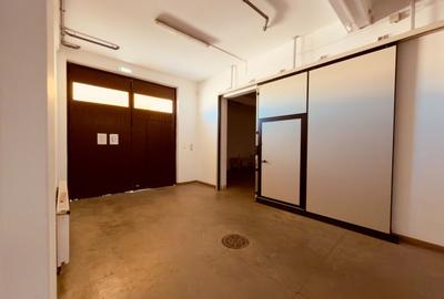 Hală 470 mp, spații frigorifice 4 EUR/mp,  zona Freidorf , Comision 0% - 7