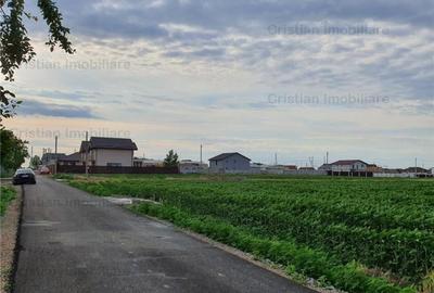 Teren intravilan de 8881 mp, în Cazasu