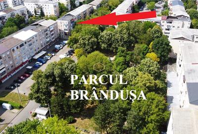 VIDEO | ETAJ II | Apartament de familie cu 3 camere | Parcul Brandusa - Micro 16 - 2