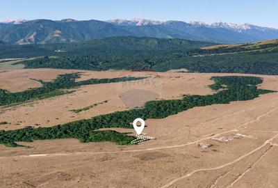 Teren Construcții intravilan de 769 mp, în Dumbrăvița