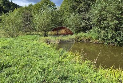 Teren de vis de 2.800 mp pe Valea Tărcăului – Cu lac natural și pădure - 5