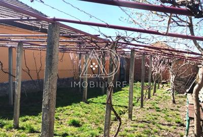Casa noua cu potential turistic de vanzare in Com Crasna, Sat Radosi, Gorj - 8