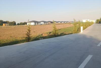 Teren Construcții intravilan de 4846 mp, în Dimieni