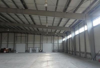Varianta - DN3C - hala 625 mp., 200 kw, 2 cai de acces - 5