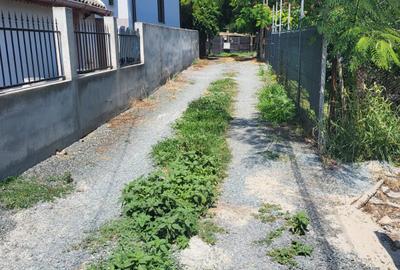 Casă P+M spațioasă,Lumina – Ideală pentru o familie! - 4