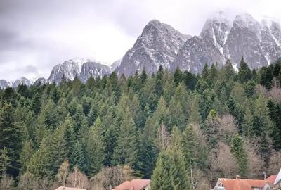 Apartament cu 3 camere decomandat în Valea Alba