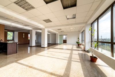 Clădire multifuncțională de închiriat, Mogoșoaia, Șos. București–Târgoviște - 12