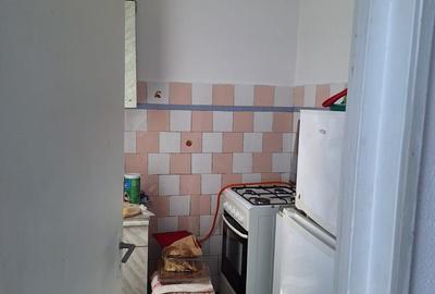 Satul de vacanta, 2 camere Semi , 4/4 , 30 mp - 4