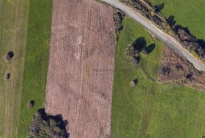 Teren agricol extravilan de 4500 mp, în Cristian