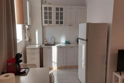 Inchiriere 2 camere in imobil de tip boutique Aviatiei - 3