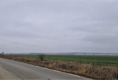 Teren 5.5 ha, de vanzare, Aricestii Rahtivani, jud Prahova - 5