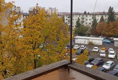 De vânzare apartament cu 2 camere în Sfântu Gheorghe - 8