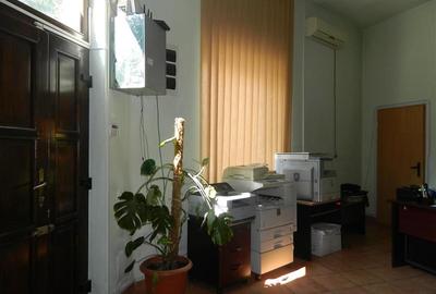 Casa in zona Lipovei, Iulius Mall - 5