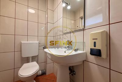 13 camere | Vila individuala | Gara de Nord |  Curte | 8 locuri parcare - 23
