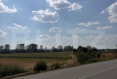 Teren agricol extravilan de 9000 mp, în Nușfalău