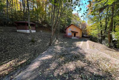 Vila de Vanzare 20 km  PITESTI ; P+1 complet utilata - 4 cam : 96.000 EUR , neg. - 2