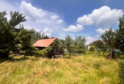 Casa Batraneasca cu 74 Ari Teren I Suceava/Sasca Mare I 60.000E - 3