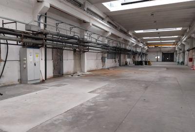 Hala de închiriat, 2300 mp, Depozitelor, Pitesti, cu pod rulant de 8 t - 5