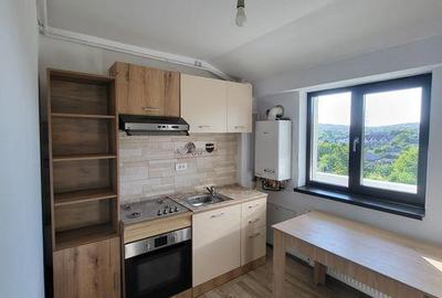 Apartament cu 1 camera decomandat Valea Adanca - 2