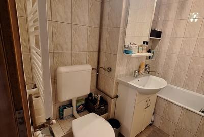 !! 3 Camere model mare.. zona Timocului-A. Saguna vedere spre Bega - 14