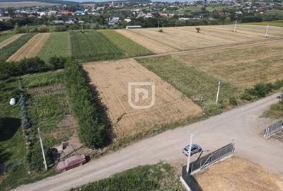 Teren Construcții intravilan de 2000 mp, în Ilișești