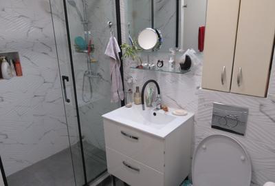 Vanzare 3 camere Unirii - Udriste - Corneliu Coposu - 33