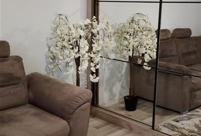 Apartament 1 camera Lunca Cetatuii - Astoria - 3