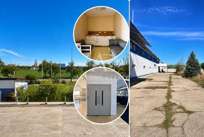Antony Estate | Vanzare Hala - 2019 mp, Borsului - Oradea - 9