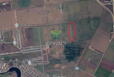 Teren agricol intravilan de 10000 mp, în Tunari