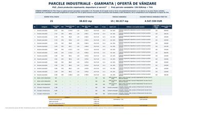 Parcele Industriale DN691 Giarmata | Utilități Incluse - 7
