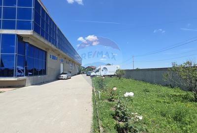 Complex multifunctional-Business & Logistic Campus-Spațiu industrial - 17