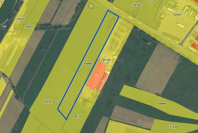 Teren intravilan 6717 mp cu deschidere la E60 de vanzare in Auseu, Bihor - 2