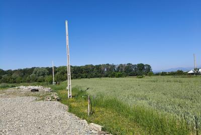Teren 10.294 mp de vânzare Târgu Jiu | Intravilan + Extravilan | Utilități - 6
