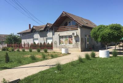 Spațiu comercial | DN69  | comuna Pesac | 50 km de Timișoara - 1