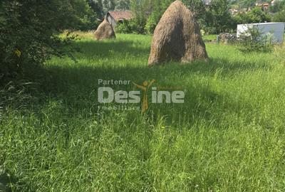 VAND TEREN VALEA DOFTANEI ZONA ERMENEASA 1030 MP - 1