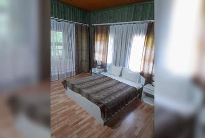 CASĂ DE VACANȚĂ – LEPȘA| 804 MP UTILI | 14 CAMERE | TEREN 1.857 MP - 13