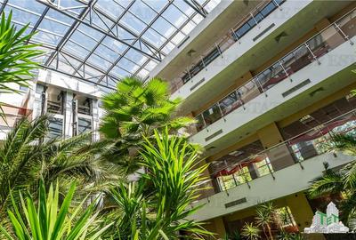 Oportunitate de Investitie! Vanzare Proprietate in zona Centura Nord - DN1 - 10