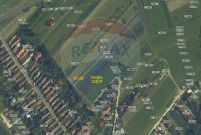 Teren intravilan, 6000 mp, Turcheș - Săcele - 5