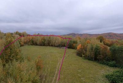 Teren ideal recreere/conectare cu natura/zona Fagaras/achitare in rate - 8