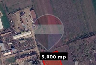 Teren agricol intravilan de 5000 mp, în Slobozia Nouă