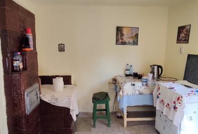 Casă de vânzare pe Valea Nehoiului, Orașul Nehoiu, Județul Buzău - 3