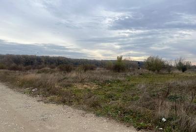 : Teren Dezvoltabil 4 Hectare | Voluntari, Ilfov - 1