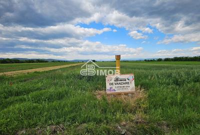Teren extravilan agricol 2.500 m² | 21 ml deschidere | Filipeștii de T - 1