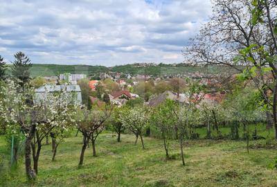 Casă individuală cu 7 camere în Nord-Vest