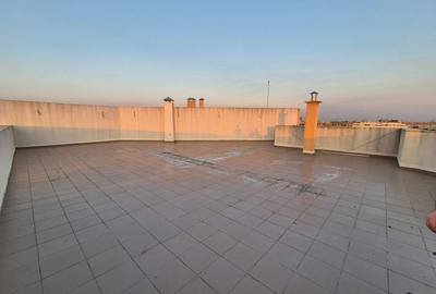 Penthouse 104,97 mp + 192,81 mp terase - piata Sudului - 13