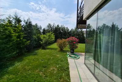 Inchiriere vila moderna Iancu Nicolae - 41