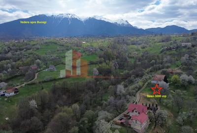 TEREN PREMIUM ÎN BRAN – SOHODOL | 3000 MP CU PANORAMĂ EXCEPȚIONALĂ - 5